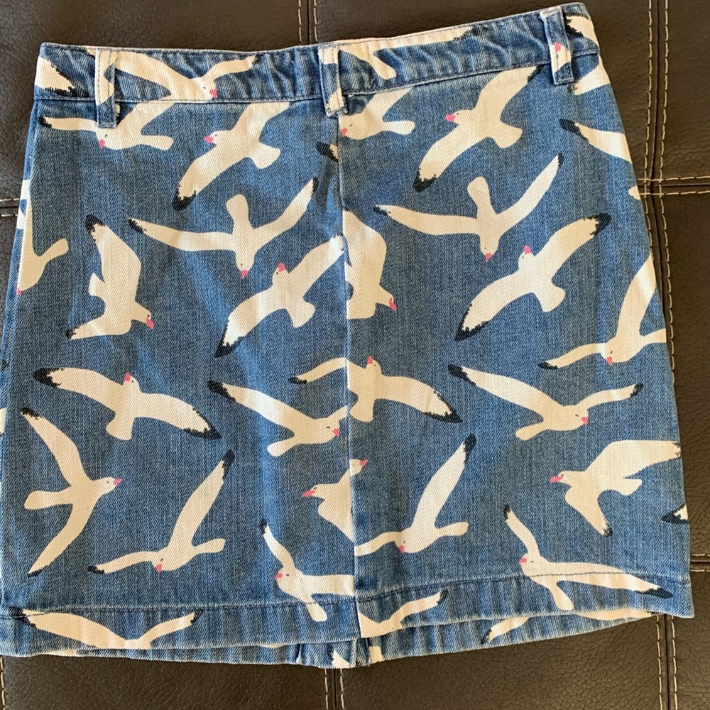Skirt